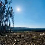Le Héron - De Charme Clôturé, Accès à La Rivière - 6 Ou 10 Personnes Fauvillers