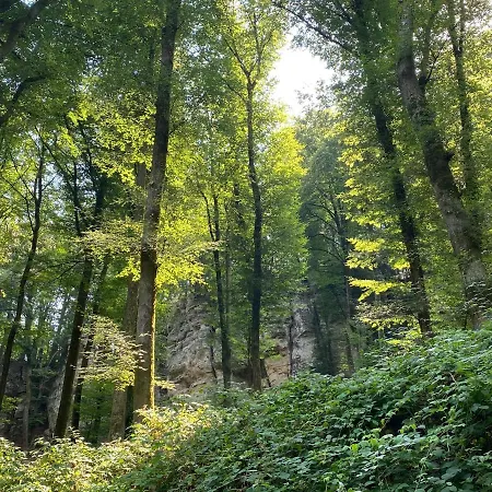 Le Heron - De Charme Cloture, Acces A La Riviere - 6 Ou 10 Personnes Vakantiehuis Fauvillers