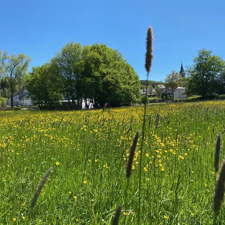 Vakantiehuis Le Heron - De Charme Cloture, Acces A La Riviere - 6 Ou 10 Personnes Fauvillers